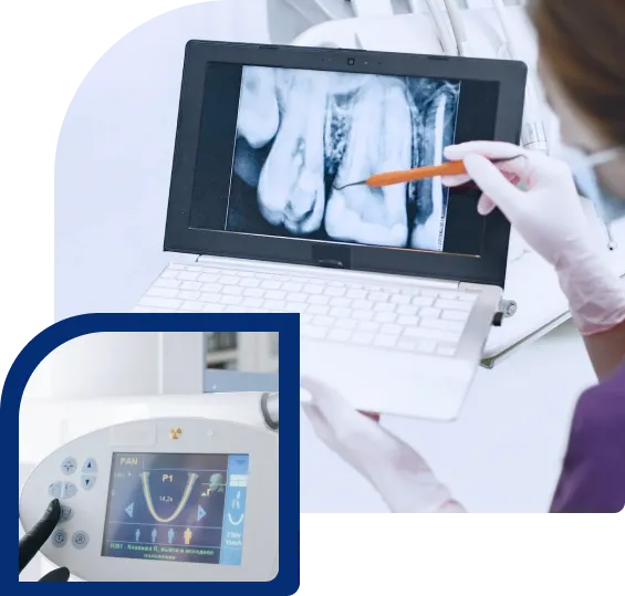Our Services section image